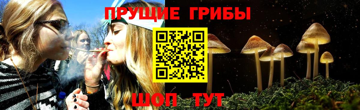 Энгельс  Галлюциногенные грибы мухоморы  Вход с VPN 