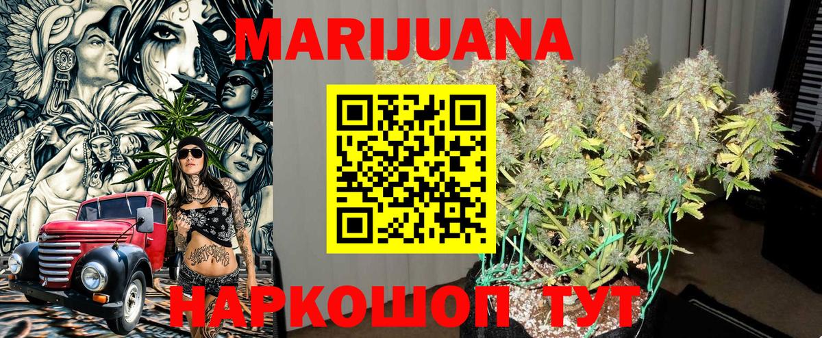 Канабис план Энгельс